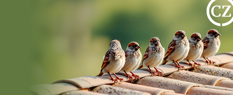 Wissen, was los ist –
