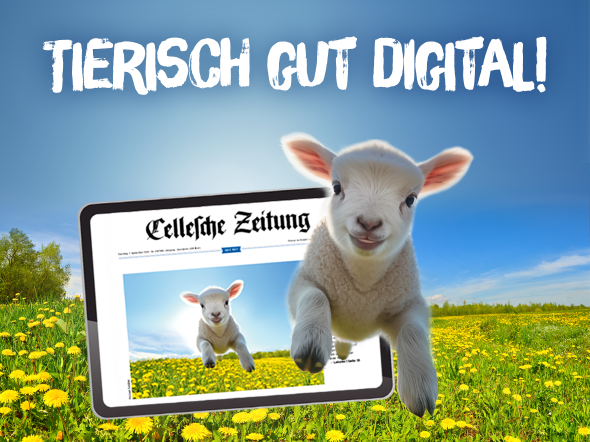 Frühlingsmotiv mit Lamm, das über eine Blumenwiese springt, Tablet mit digitaler Celleschen Zeitung