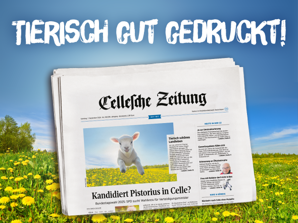 Frühlingsmotiv mit Lamm, das über eine Blumenwiese springt, gedruckte Cellesche Zeitung