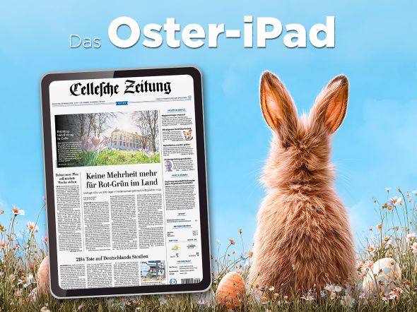 Das Bild zeigt eine frühlingshafte Oster‑Szene im Freien. Rechts im Bild sitzt ein Hase mit dem Rücken zur Betrachtungsperspektive. Der Hase hat aufgerichtete Ohren und blickt nach vorn. Im Vordergrund wachsen kurze Wiesenblumen und Gräser, dazwischen lie